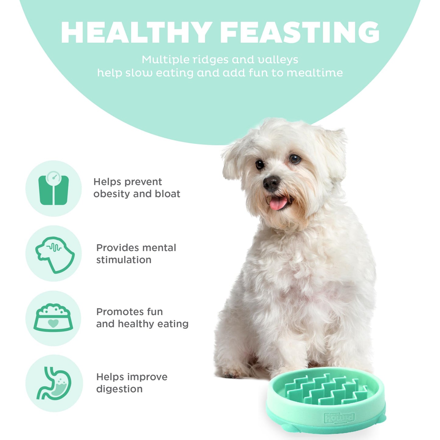 Outward Hound Fun Feeder Slo Bowl Slow Pet Feeder Bowl for Dogs in Mint Plastic