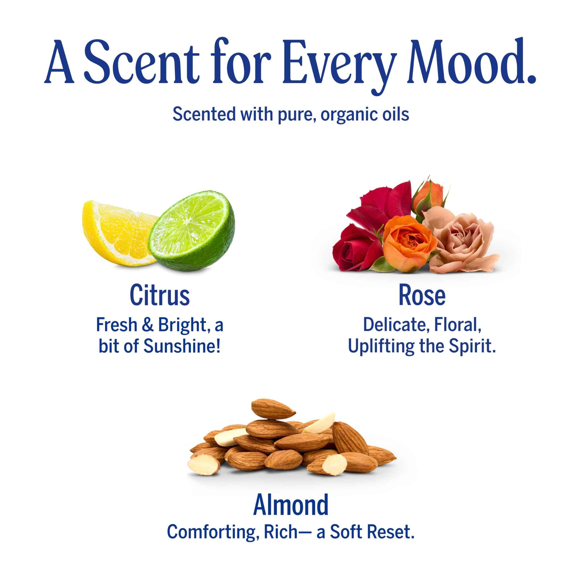 Dr. Bronner's Pure-Castile Magic Bar Soaps (5 Ounce Variety Gift Pack) Almond, Unscented, Lavender, Peppermint, Citrus, Rose - Made with Regenerative Organic Certified Oils, Vegan, Non-GMO