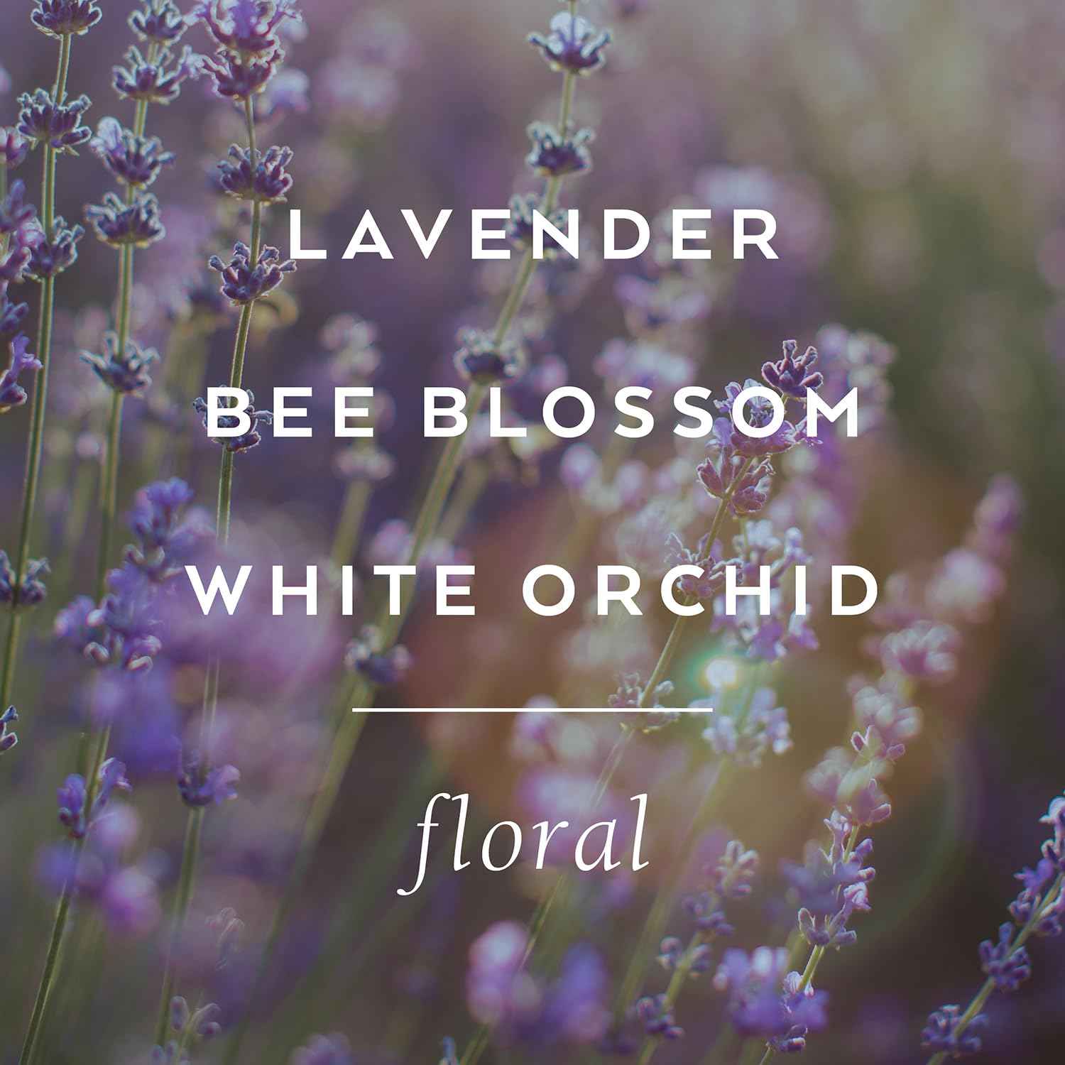 LOLLIA Relax Handcreme, 4 oz, Sugar Cane, Vanilla Bean, & Jasmine, Scented Hand Cream for Women, Moisturizing Lotion for Dry Hands, Quick Absorbing Shea Butter & Cocoa Butter, Luxury Purse Essentials