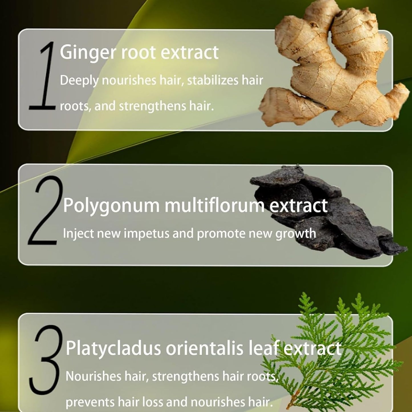 Ginger Plant Extract Anti-Hair Loss Hair Shampoo, Hair Loss Shampoo From Japan, Polygonum Multiflorum Ganoderma Atrum Ginger Plant Extract Shampoo for Hair Growth Oil Control (3Pcs)