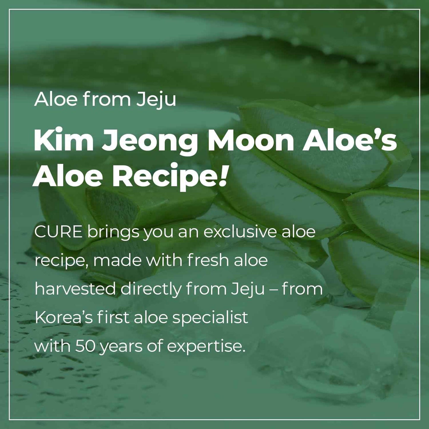 CURE Aloe Vera Foam Cleanser – Hydrating Gentle Korean Face Wash with Aloe & Centella for Sensitive Skin, Pore Care & Deep Cleansing, 3.38 fl oz