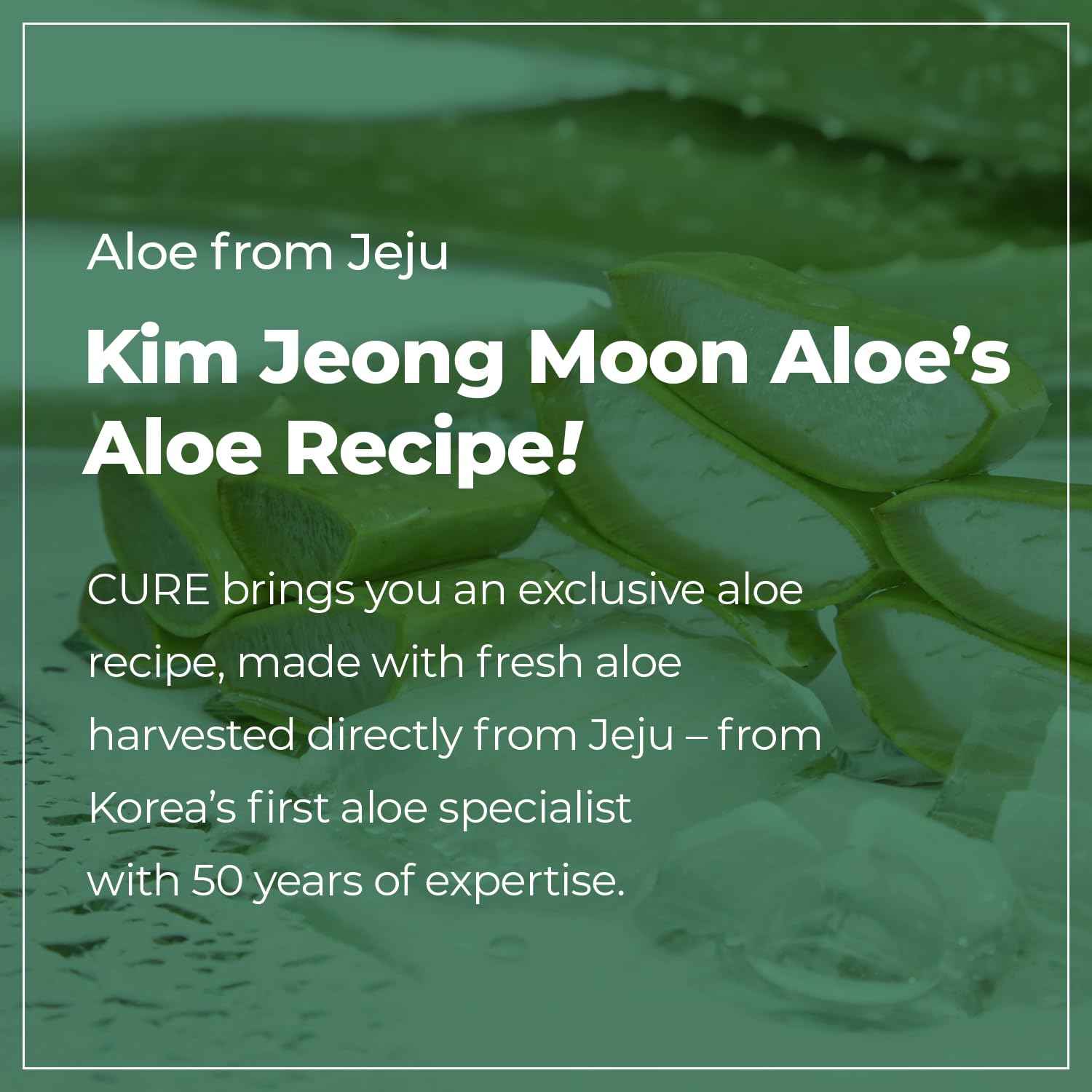 CURE Aloe Vera Foam Cleanser – Hydrating Gentle Korean Face Wash with Aloe & Centella for Sensitive Skin, Pore Care & Deep Cleansing, 3.38 fl oz