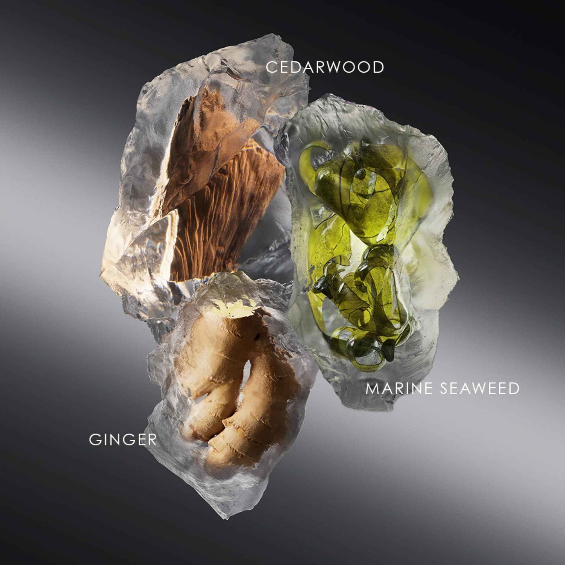 Issey Miyake Le Sel d'Issey Shower Gel - Fresh Woody Marine Shower Gel for Men - With Salt Accord, Marine Seaweed, Ginger & Cedarwood - 6.7 oz