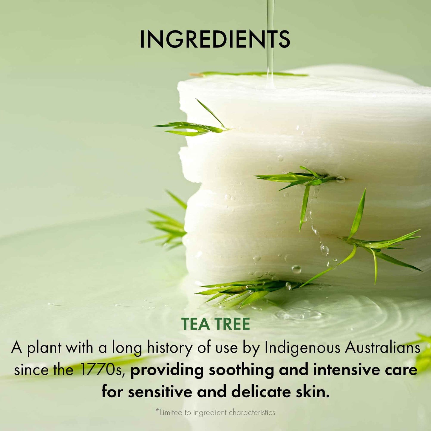 Dr.Ceuracle Tea Tree Purifine Toner Pad - Korean Skincare Mild Exfoliating and Pore Care, Double-Textured Face Pads with PHA, Zinc PCA, Niacinamide (60 Pads)