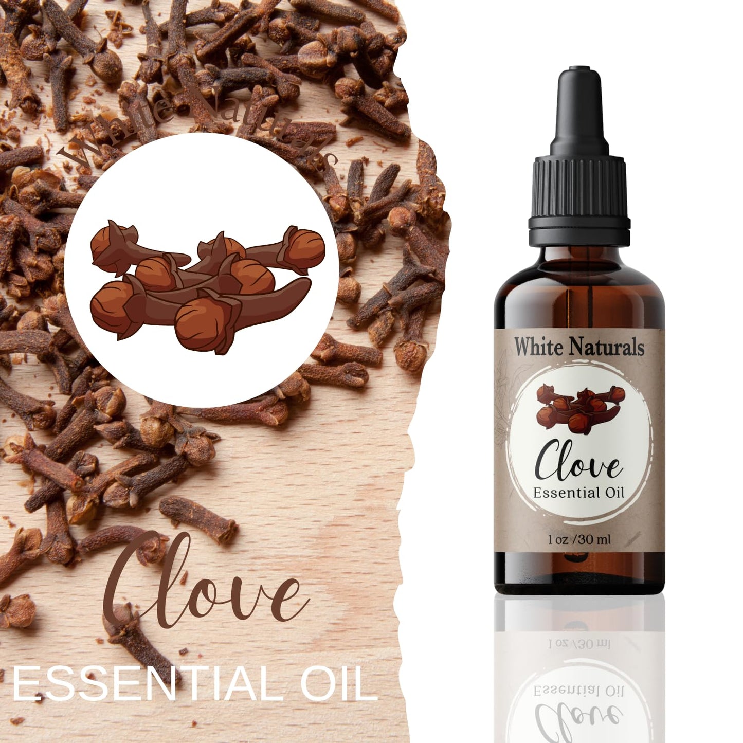 Organic Clove Essential Oil - 100% Pure & Natural, Therapeutic Grade, Undiluted, Premium Quality Aromatherapy Oil for Diffuser, Hair, Skin, Teeth, Gums & Oral Discomfort