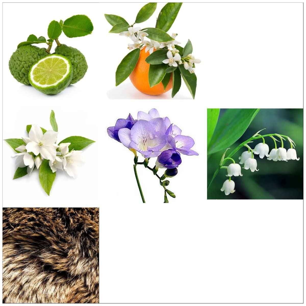 Rachel Zoe Instinct Gift Set - Designer Women Perfume, Body Spray - Floral Eau de Parfum 3 pc