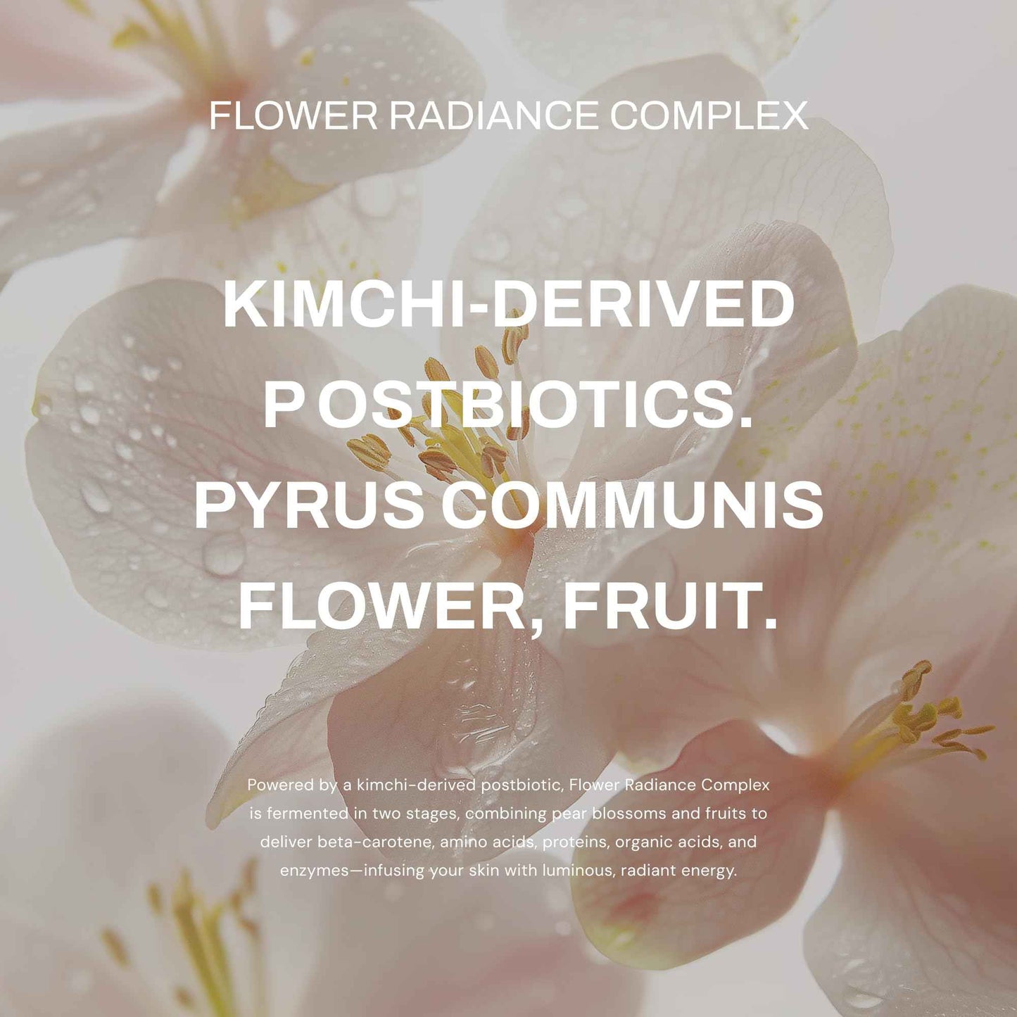 Whamisa Organic Pear Blossom Essence Toner, Fermented Postbiotic Formula for Radiant Skin, Facial Toner, Revitalizing, Hydrating, Moisturizing (160ml)