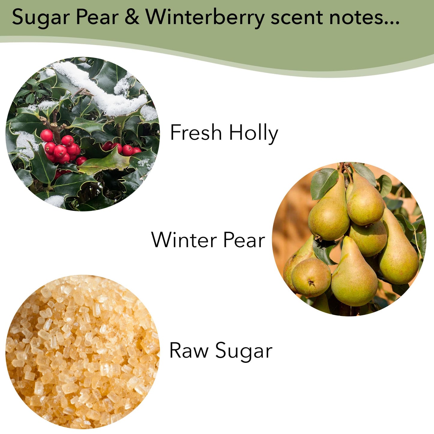 Holiday Mini Soap Bar and Lotion Sampler- Sugar Pear & Winterberry and Frosted Plum- Set of 4 Enriched with Shea Butter, Essential Oils & Natural Extracts- Christmas Stocking Stuffer & Basket Filler