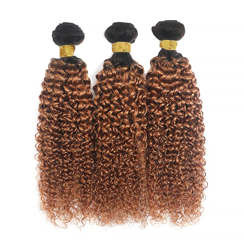 T1B30 Curly Wave Human Hair Bundles 18-22 Inch