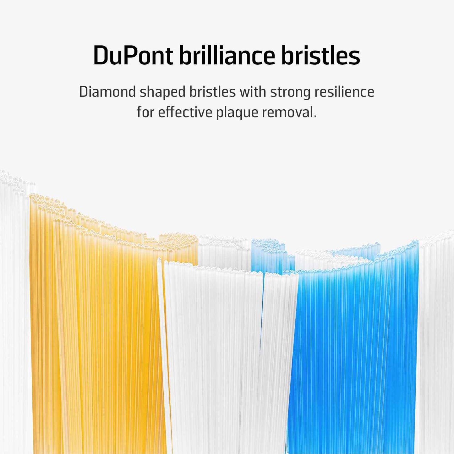 Soocas Multiclean Classic Clean Electric Toothbrush Replacement Heads, Compatible with Both NEOS II and NEOS II Ultra, 2 Brush Heads, Dark Violet