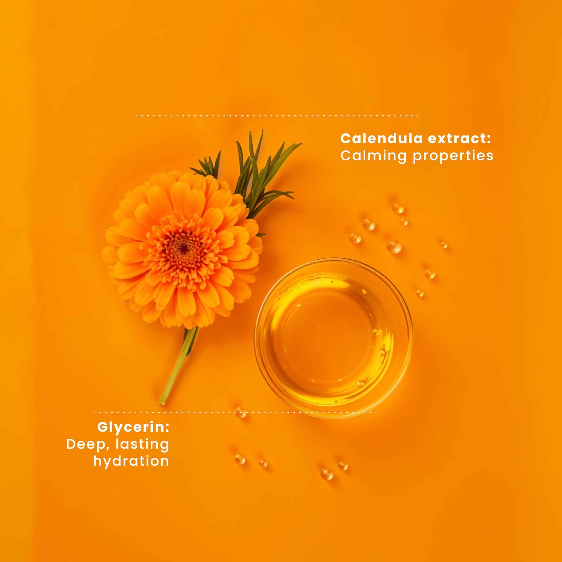 Pili Natural Calendula Cream - Moisturizing Cream for Rough, Dry, or Chapped Skin (15 oz)