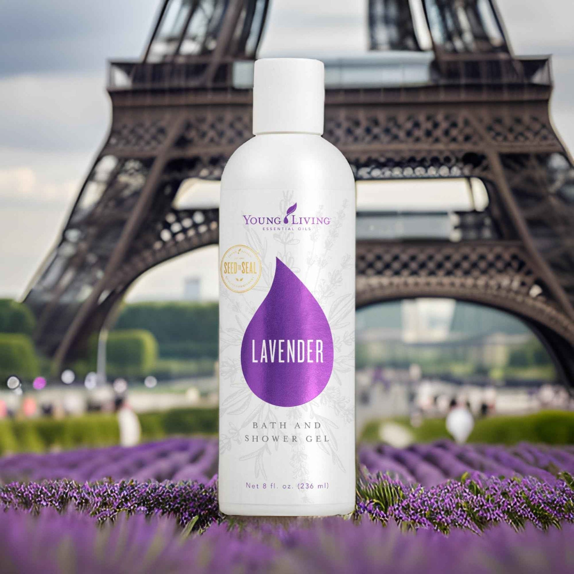 Lavender Bath & Shower Gel - 8 oz by Young Living Essential Oils