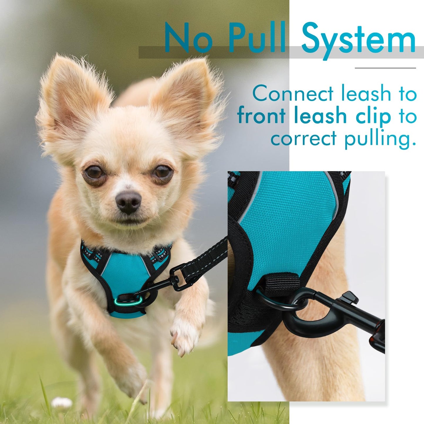 rabbitgoo Dog Harness, No-Pull Pet Harness with 2 Leash Clips, Adjustable Soft Padded Dog Vest, Reflective No-Choke Pet Oxford Vest with Easy Control Handle for Large Dogs, Teal, X-Small