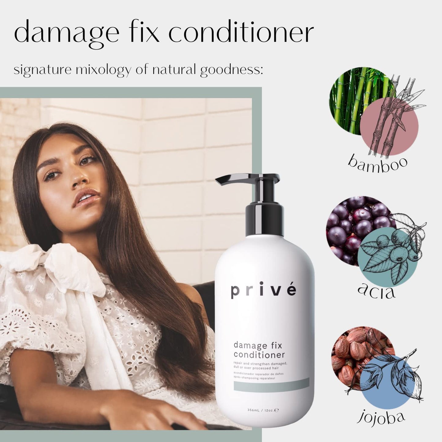 Prive Damage Fix Conditioner Repair and Strengthen Damaged, Dull or Over Processed Hair from Within – Natural Ingredients Vegan Cruelty-Free Color-Safe for Dry Hair