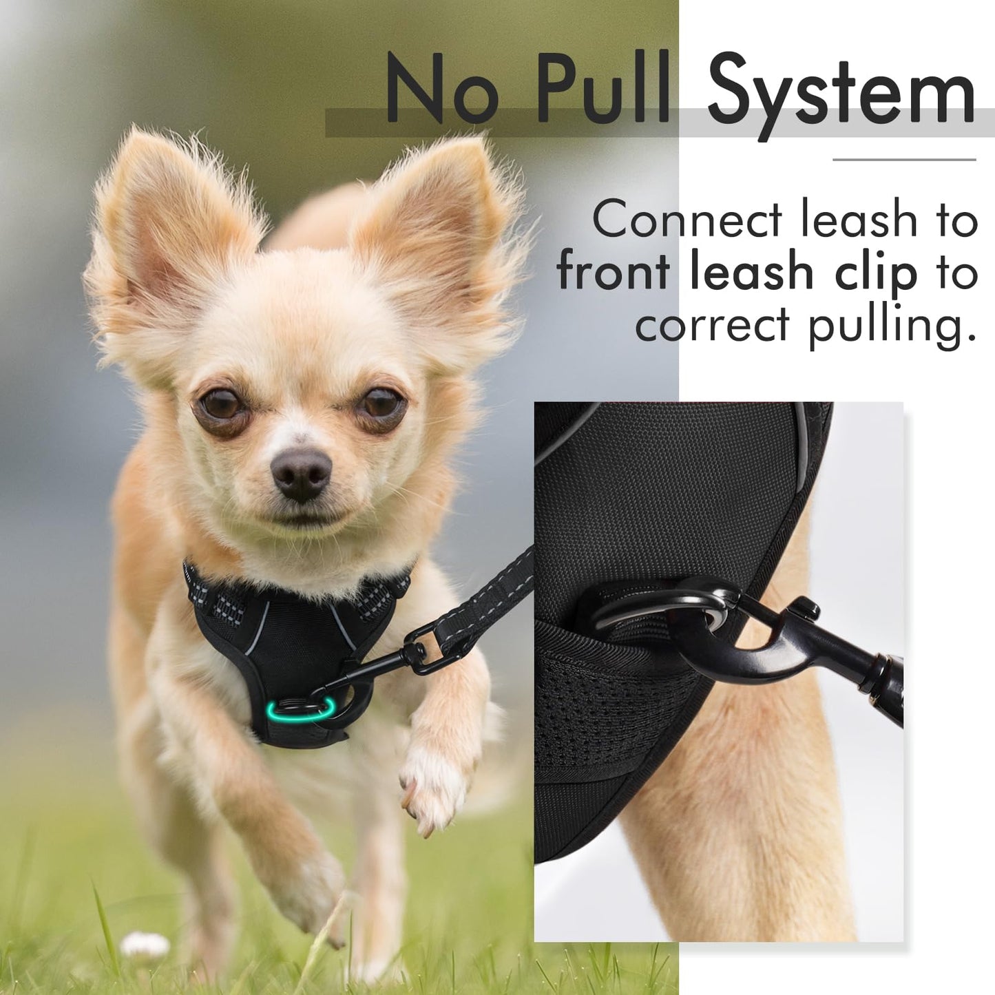 rabbitgoo Dog Harness, No-Pull Pet Harness with 2 Leash Clips, Adjustable Soft Padded Dog Vest, Reflective No-Choke Pet Oxford Vest with Easy Control Handle for Small Dogs, Black, X-Small