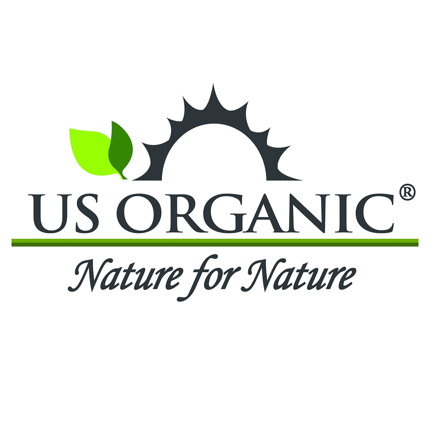 US Organic Lime Essential Oil - Certified Organic, Steam Distilled - W/Euro droppers (More Size Variations Available) (10 ml / .33 fl oz)