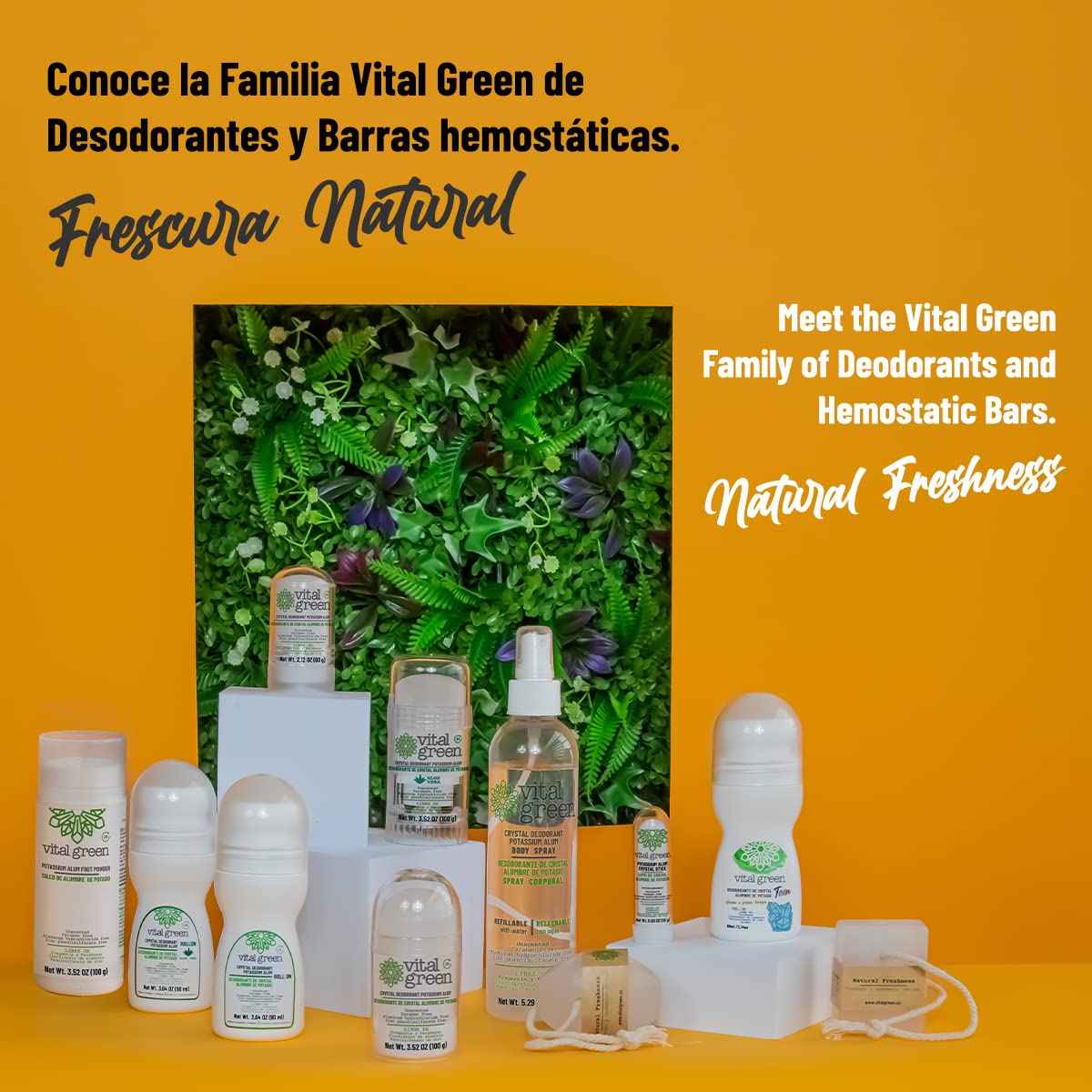 Vital Green Crystal Potassium Alum Deodorant with Aloe Vera – Unscented Mineral Deodorant for Sensitive Skin - 3.53 oz / 100 g (3 Units)