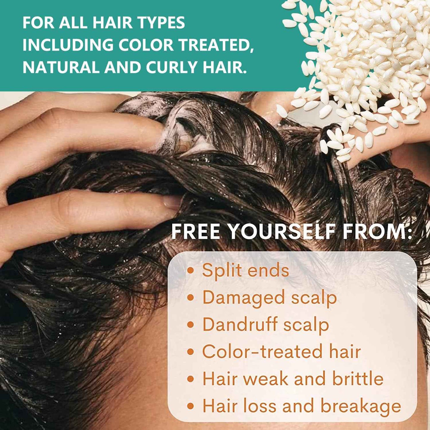 PureNaturis Rosemary Rice Water Shampoo Conditioner & leave-in Spray for Hair Growth Repair System Kit, w/Rosemary, Biotin, Caffeine, Sulfate Free Routine Shampoo for Women Men Hair Loss Thickening