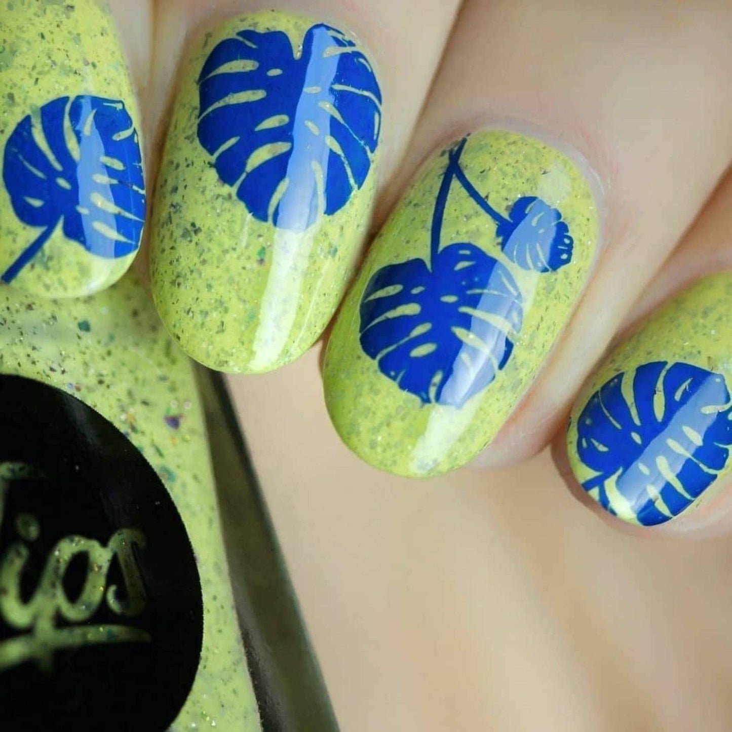 Whats Up Nails - Jay for a Day Stamping Polish Blue Creme Lacquer for Stamped Nail Art Design 7 Free Cruelty Free Vegan