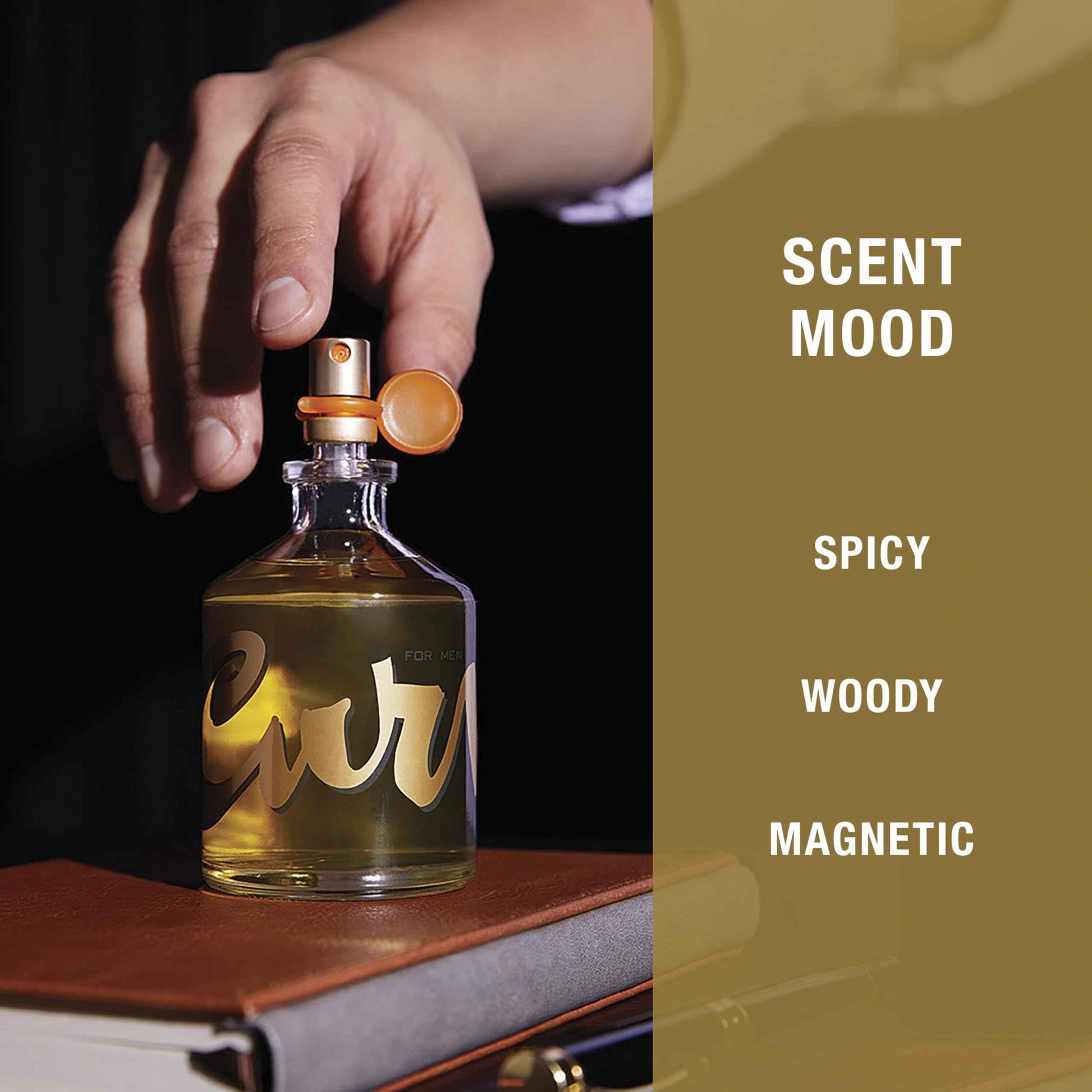 Curve Men's Cologne Fragrance Spray, Spicy Wood Magnetic Scent for Day or Night, 6.8 Fl Oz