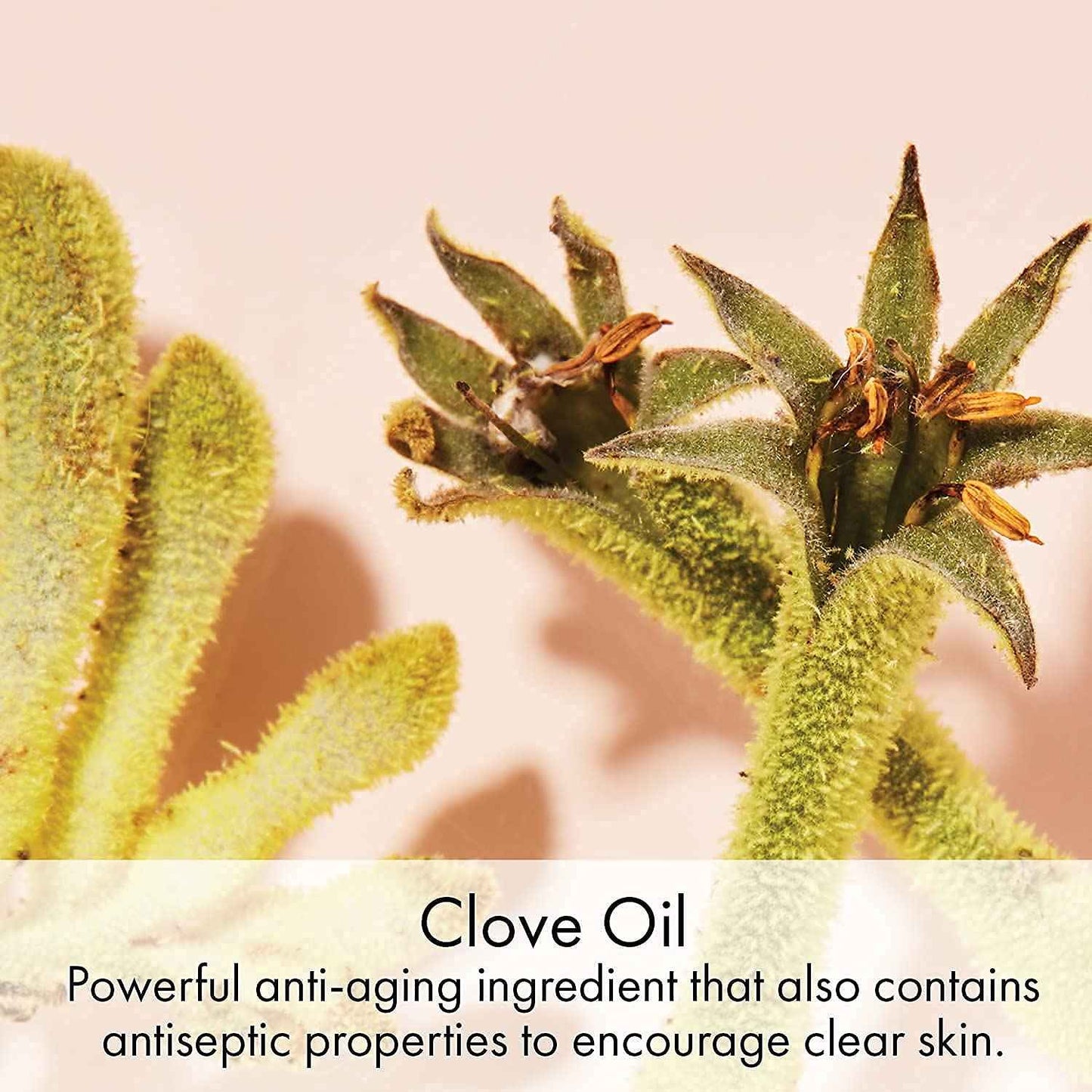 EVE LOM The Original Balm Cleanser - Facial Cleansing Balm - 5-in-1 Facial Cleanser & Muslin Cloth - Deep Cleansing & Gentle Exfoliation, Hydrating Skin Benefits, Removes Waterproof Make-Up - 20 ml