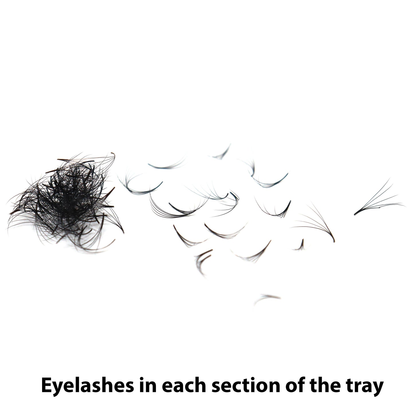 Lashmond 1000 Premade Fans Eyelash Extension Handmade Loose Volume Short Stem Eyelash Multiple Options 5D/7D Pre-made Fans 0.07mm Thickness C/D Curl 8mm-15mm Mixed Length Volume Eyelash Extensions mixed Length Eyelash in the tray (7D/C Curl)