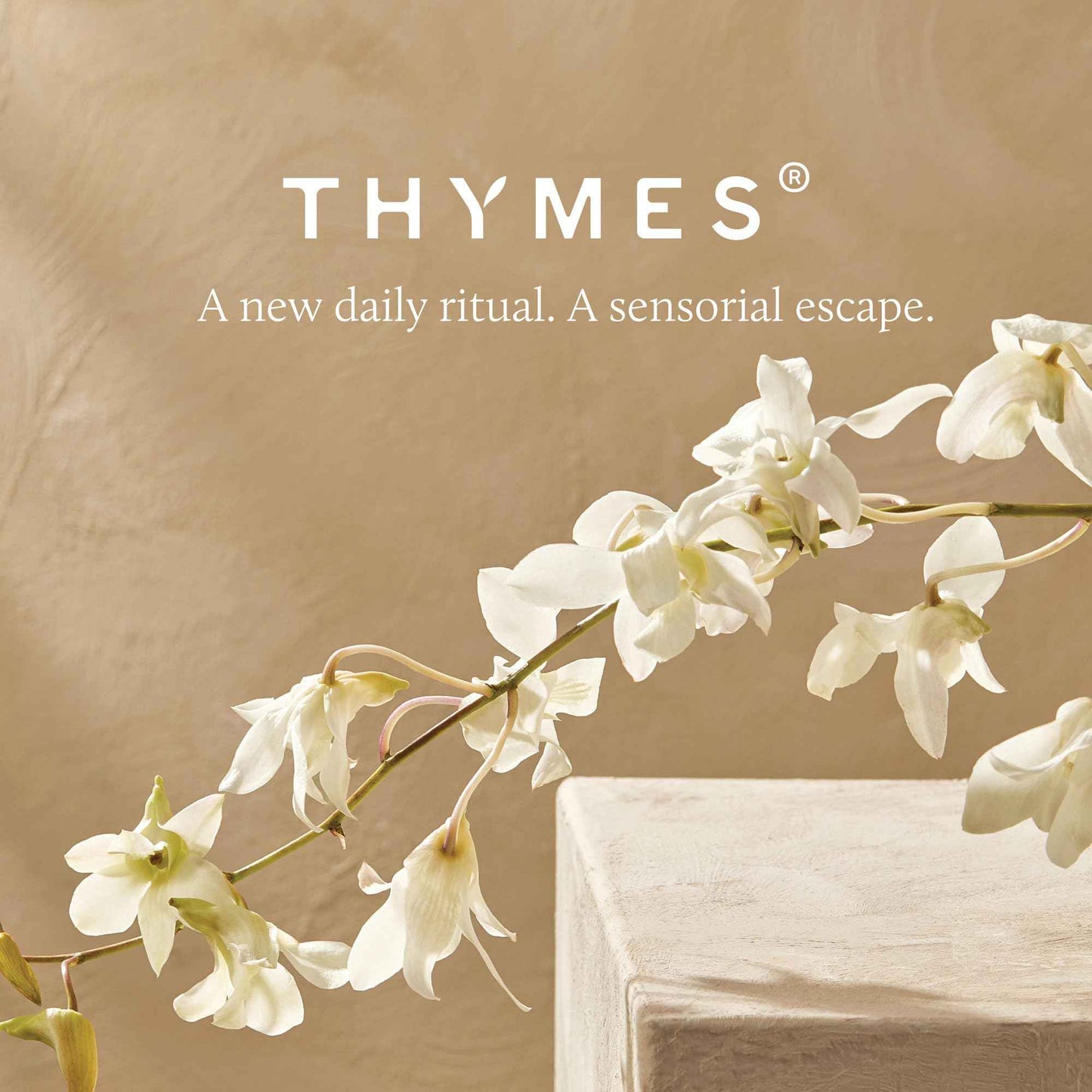 Thymes Nourishing Hand Wash - Liquid Hand Soap for Bathroom or Kitchen - Liquid Soap with Notes of Bergamot, Lemon, Orange Flower, Lotus & Sandalwood (Bergamot Nectar, 9.4 fl oz)