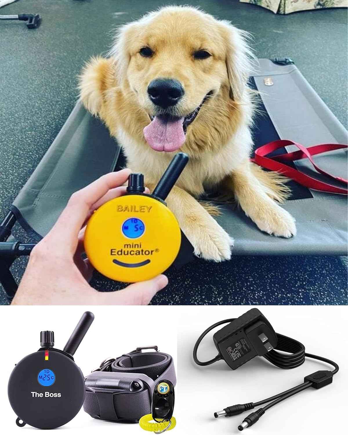 FGIEU Training Collars Charger Compatible with Educator 800 and 1200 Series ET-800, ET-802, K9-800, K9-802, UL-1200, UL-1202, WF-1200, WF-1202 Training Collars.