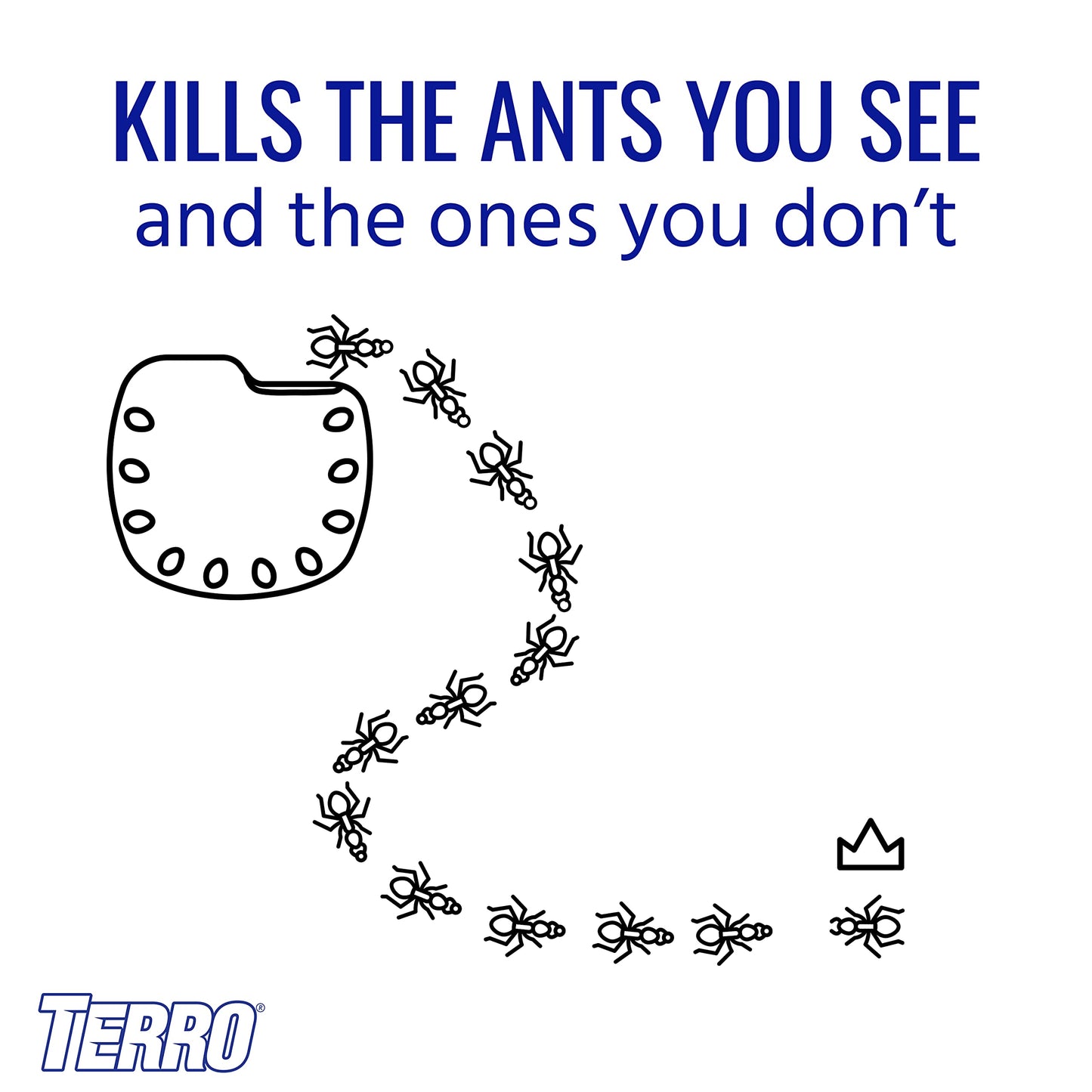 TERRO T334SR Indoor Multi-Surface Liquid Ant Bait and Ant Killer - 8 Discreet Ant Bait Stations - Kills Common Household Ants