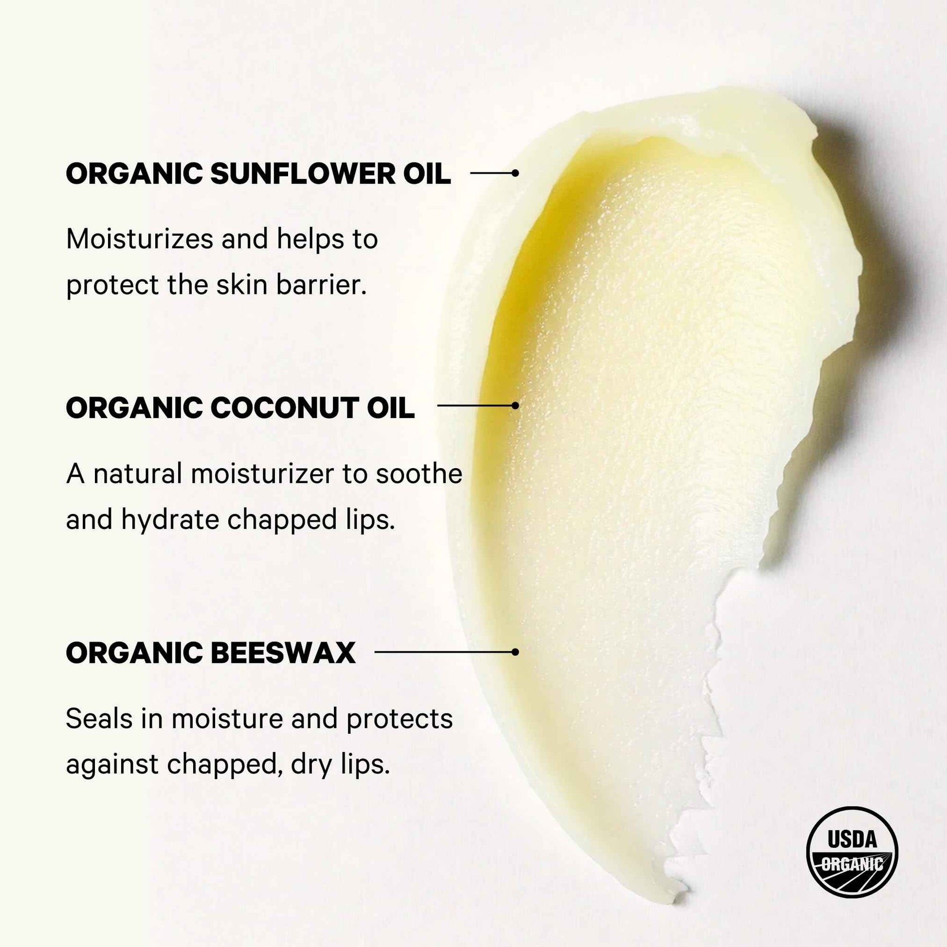 Space Camp Wellness Jumbo Lip Balm - Birthday Pack Variety Flavored Balm (Birthday Cake, Salted Caramel, Strawberry Frosting) - 3 Pack