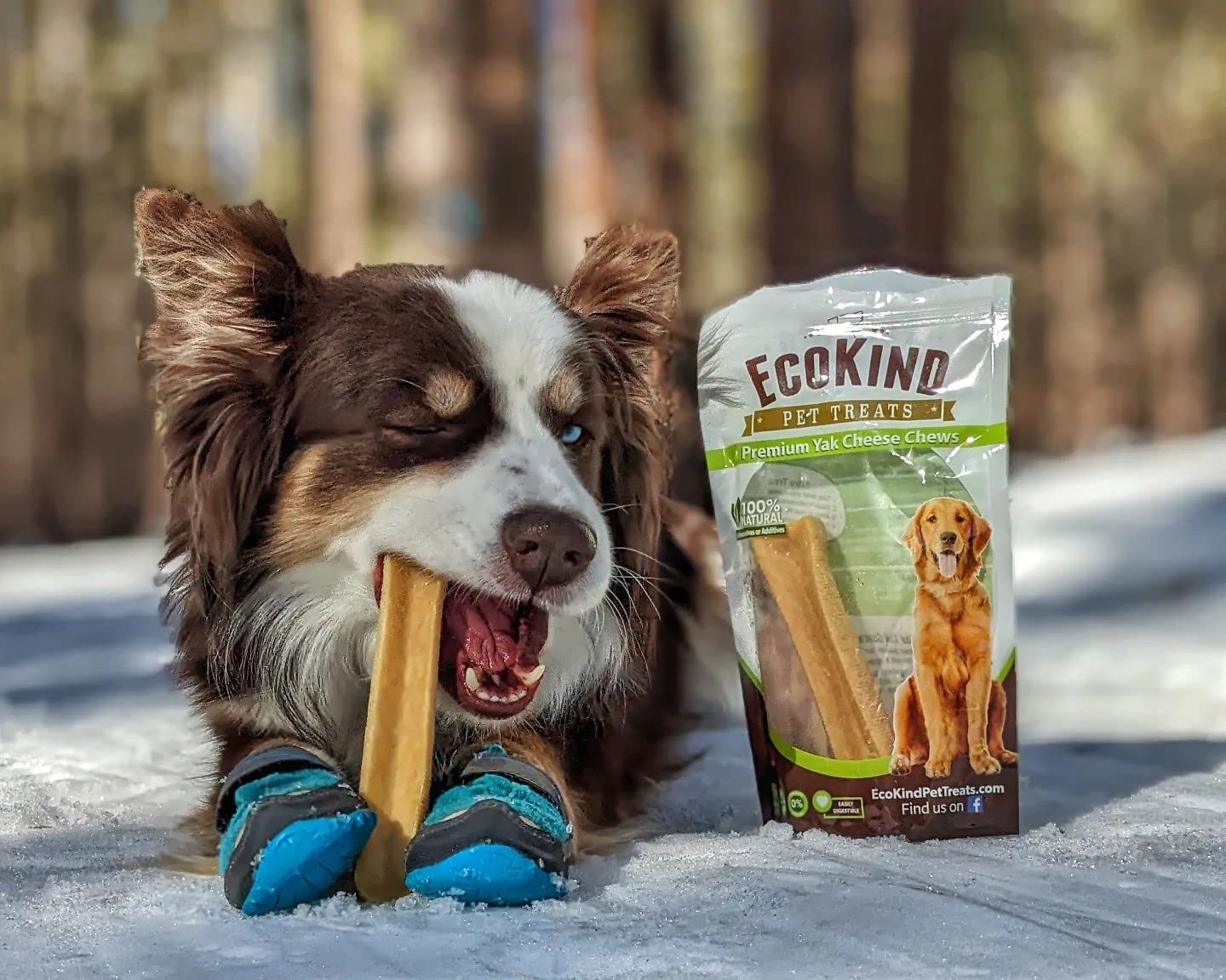 EcoKind Yak Cheese Dog Chews | 3 lb. Bag | Healthy Dog Treats, Odorless Dog Chews, Rawhide Free, Long Lasting Dog Bones for Aggressive Chewers, Indoors & Outdoor Use, Made in The Himalayans