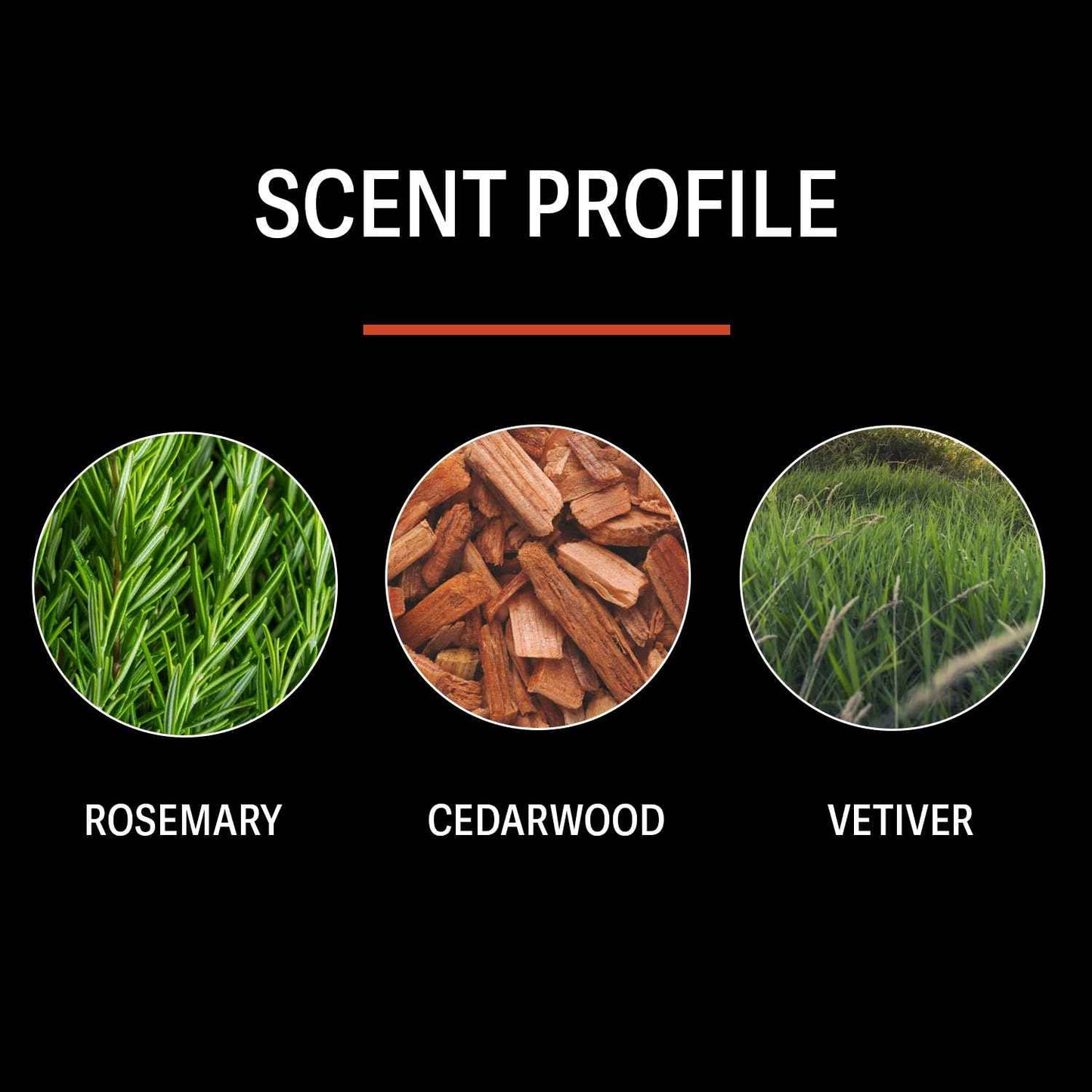 Vavica Ùnico Hydrating Hand + Body Lotion with Hyaluronic Acid and Shea Butter - 6 fl oz