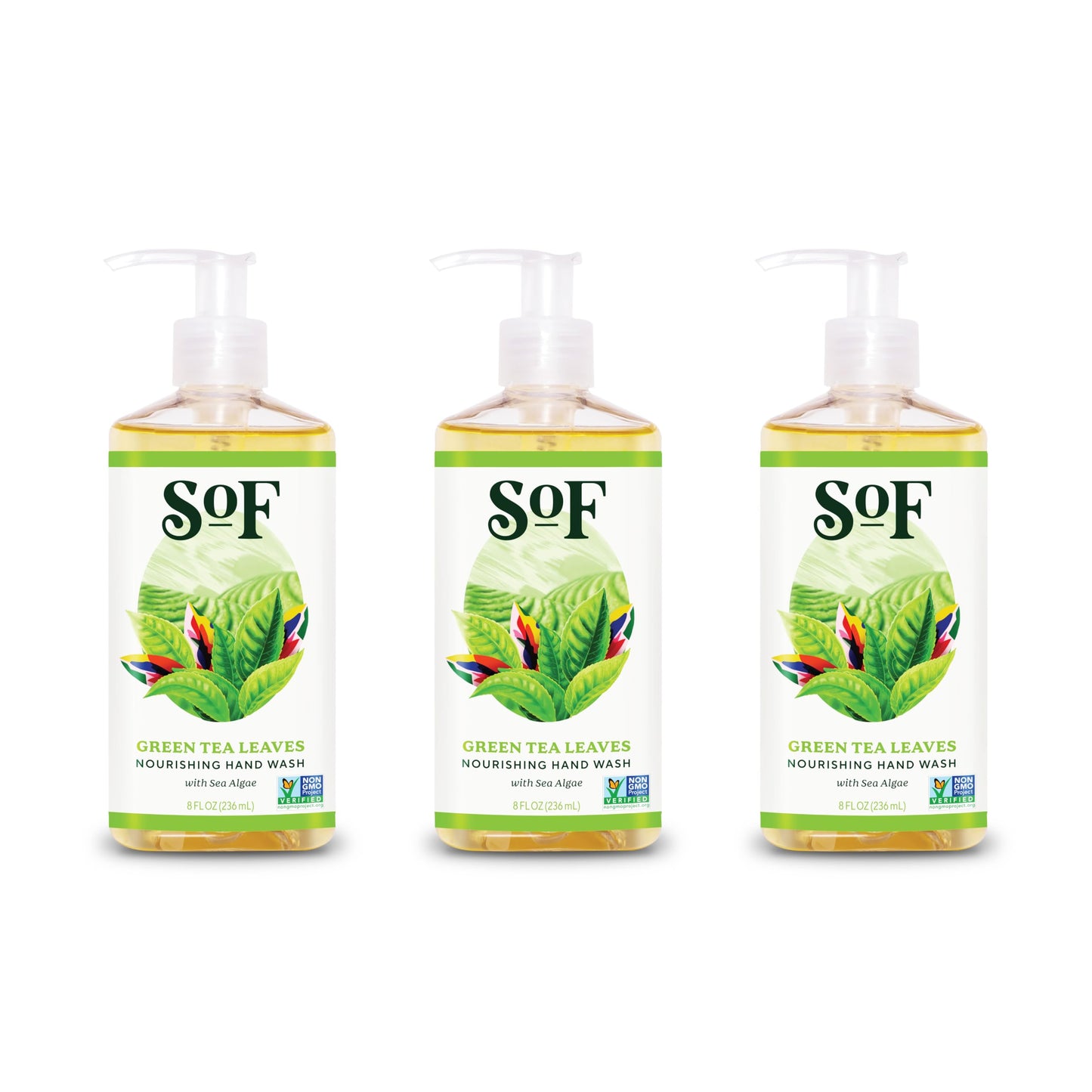 South Of France Green Tea Clean Hand Wash Clean Body Care | Moisturizing Liquid Hand Soap with Mediterranean Sea Algae | 8 oz Pump Bottle – 3 Pack