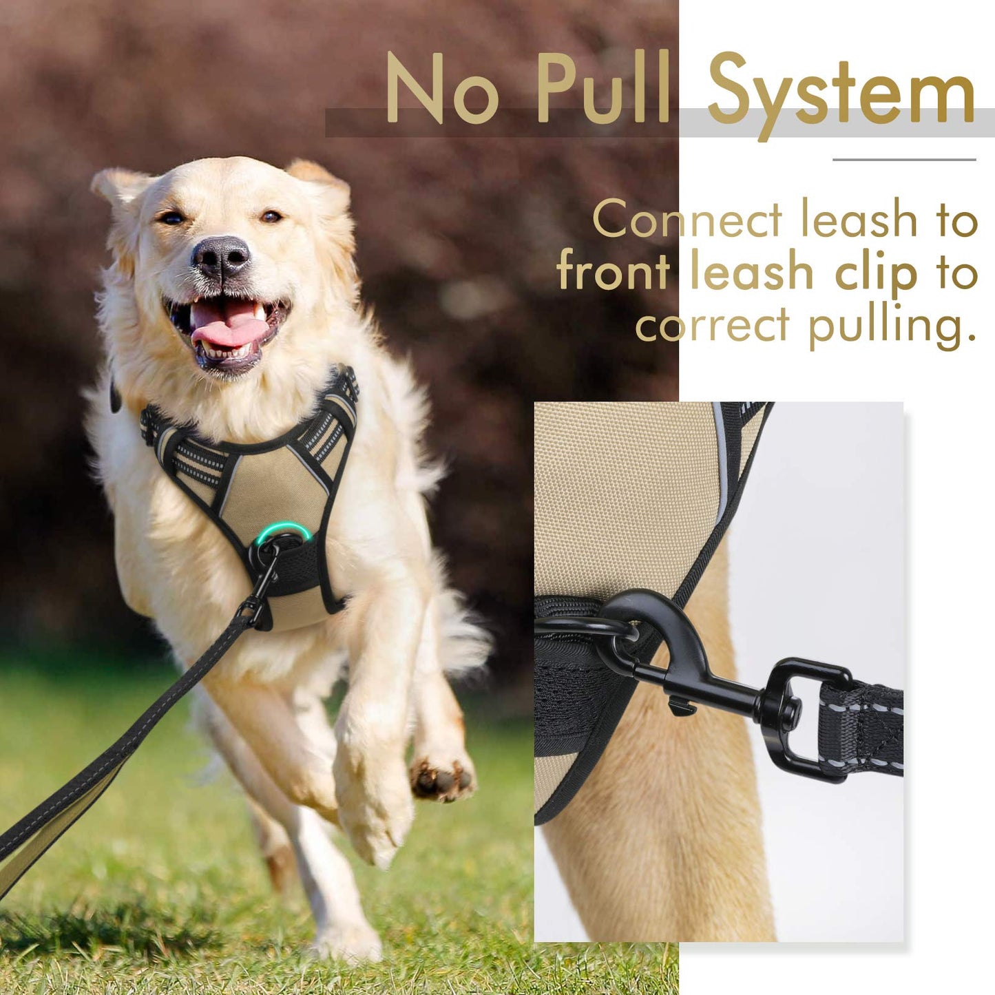 rabbitgoo Dog Harness, No-Pull Pet Harness with 2 Leash Clips, Adjustable Soft Padded Dog Vest, Reflective No-Choke Pet Oxford Vest with Easy Control Handle for Large Dogs, Beige, L