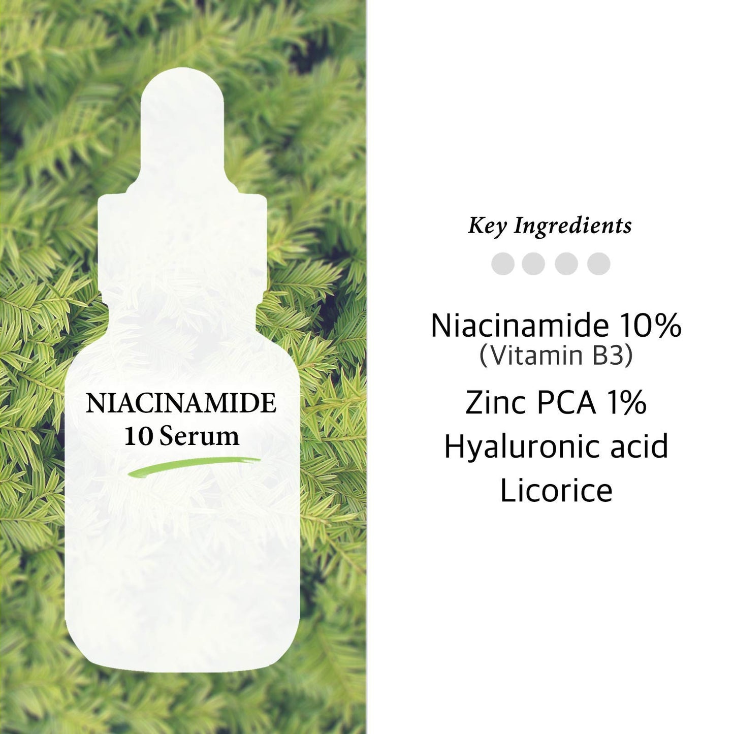 Niacinamide 10% + Zinc PCA 1% Serum for Face - Pore Reducer + Uneven Skin Tone Treatment + Diminishes Acne Prone, Skin Balancing Pore Reducing, Restores Elasticity, 1 Fl Oz