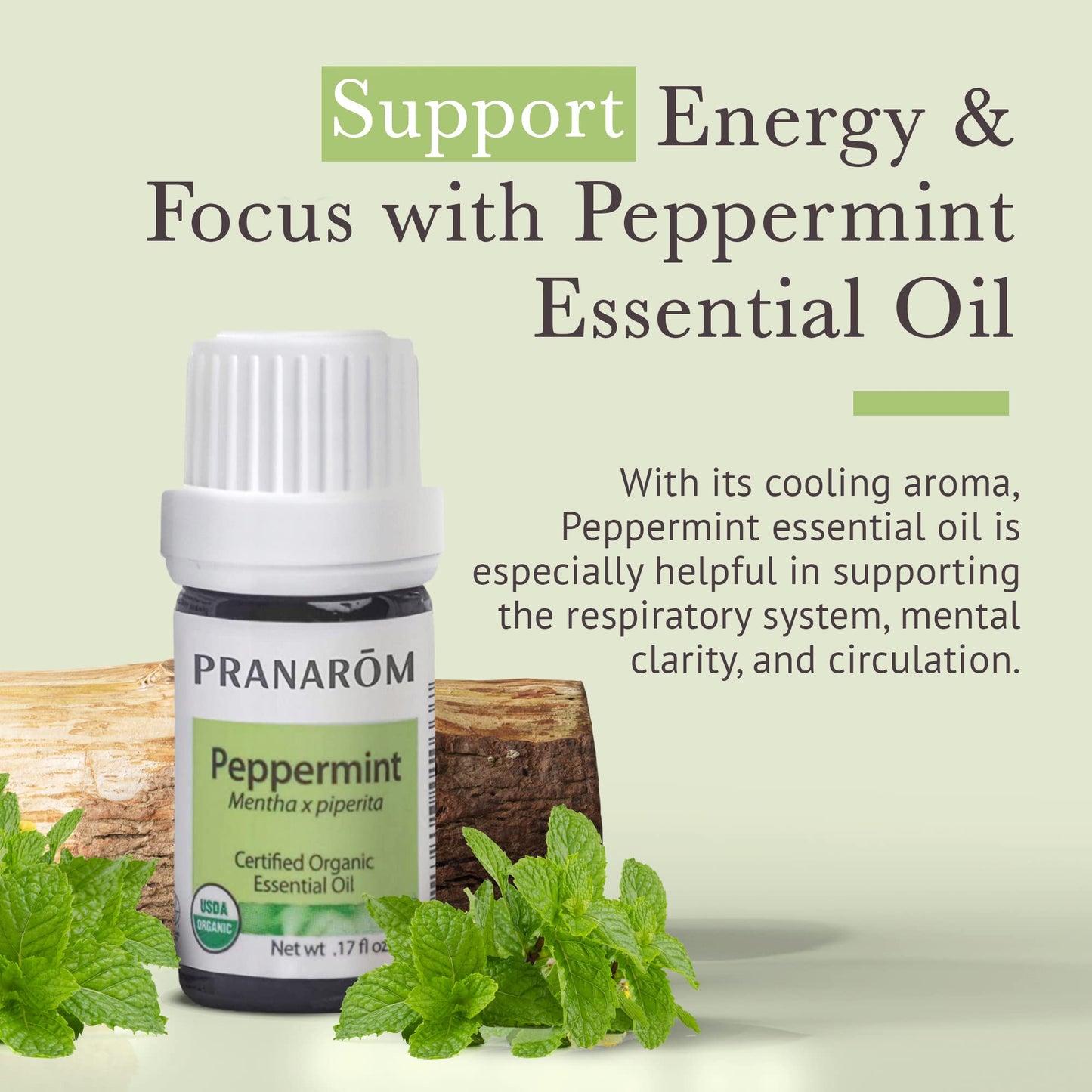 Pranarom USDA Certified Organic Peppermint Essential Oil (5ml), 100% Pure Undiluted Therapeutic Grade from India for Aromatherapy, Diffuser, Topical, Cooling, Massage & Relaxation