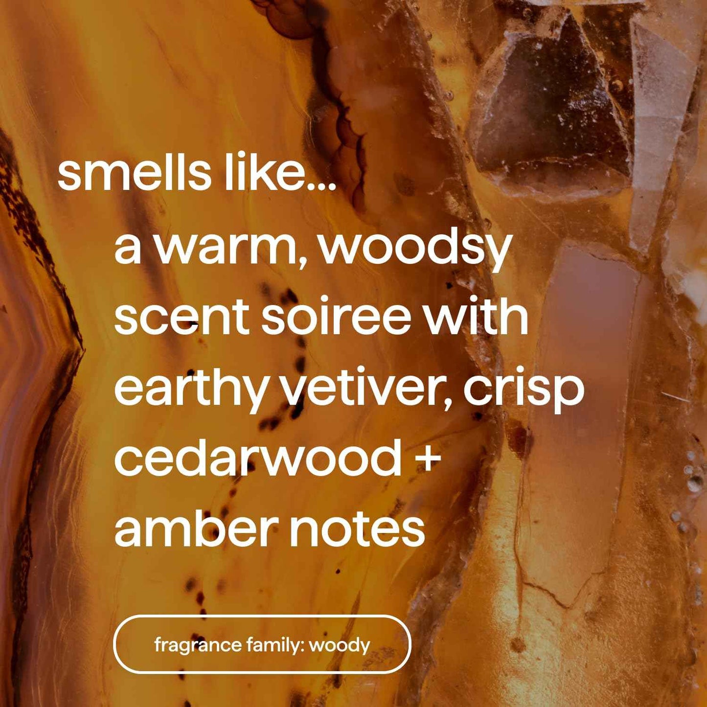 Method Premium Foaming Hand Wash Refill, Vetiver + Amber, Recyclable Bottles, Biodegradable Formula, 28 fl oz (Pack of 4) (Packaging May Vary)