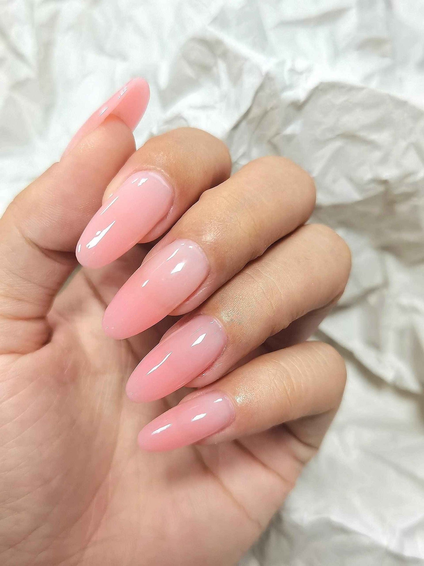 AIMEILI Builder Base Clear Sheer Color Gel, Builder Base and No Wipe Top Set