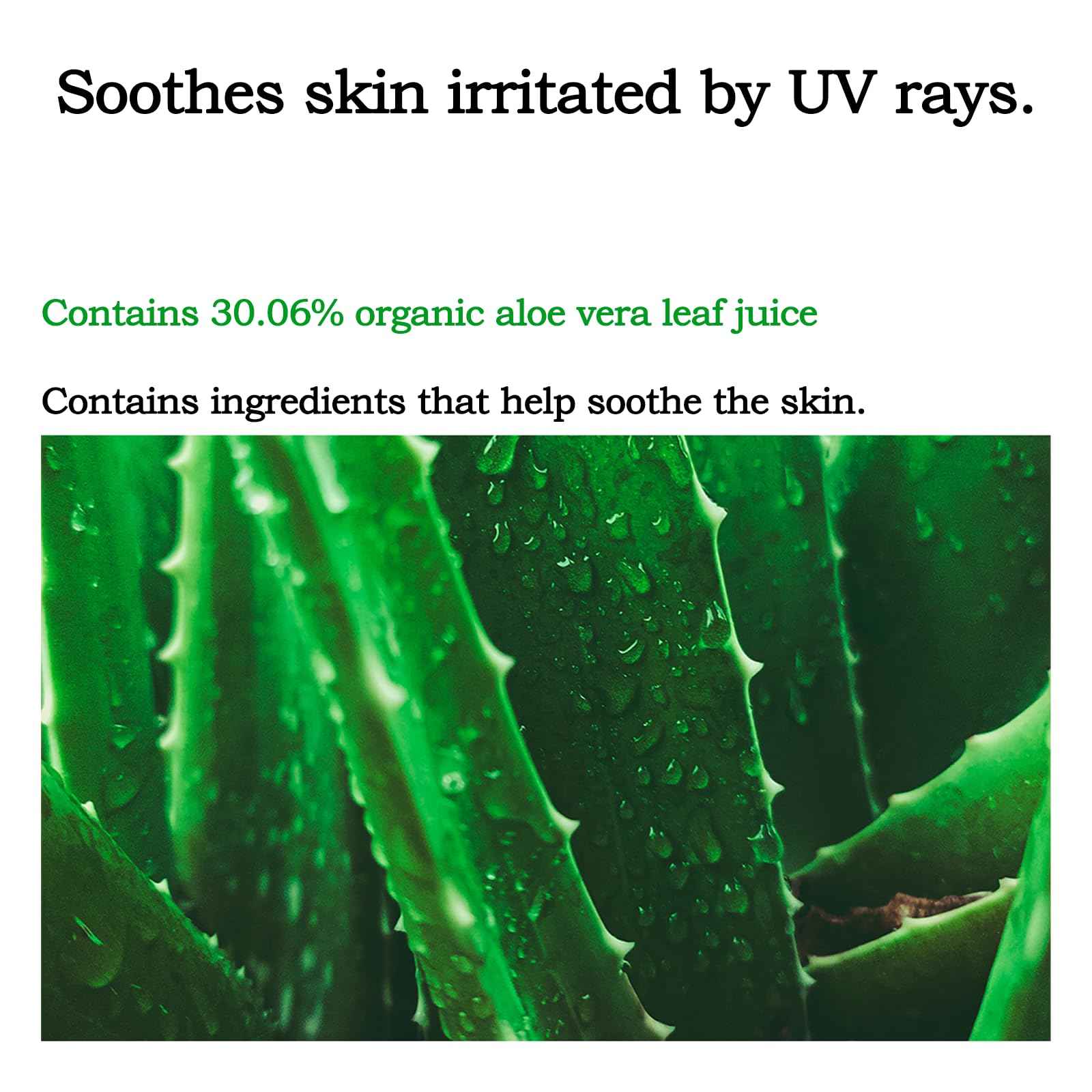 Mild-up sun cream, Korean Skin Care for Dr.O.r.g.a, Premium Sun Protection Cream SPF50+ PA+++,1.01fl.oz.