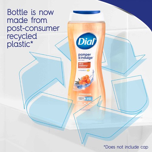 Dial Body Wash, Pamper & Indulge, Silk & Seaberry, 16 fl oz (Pack of 4)