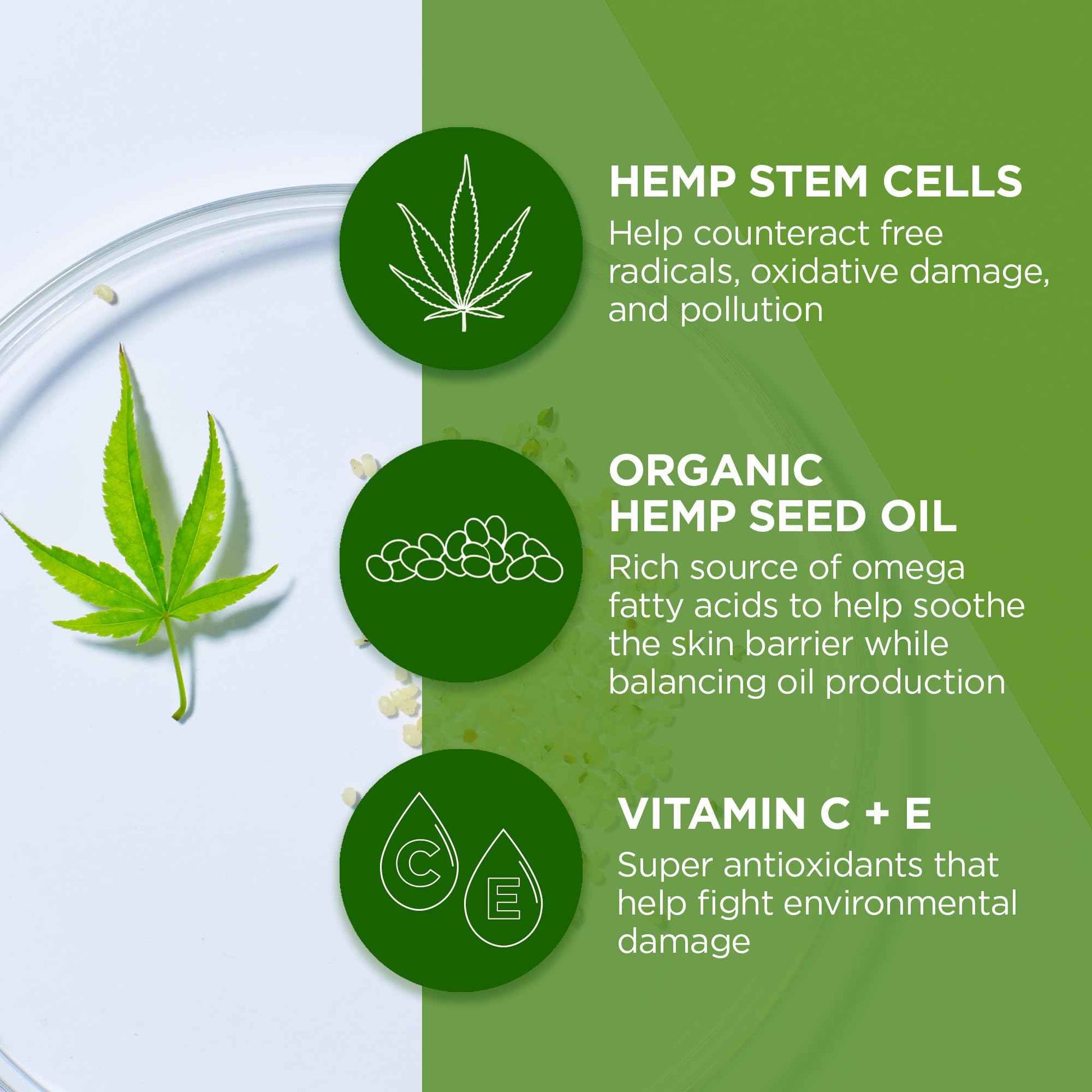 Andalou Naturals CannaCell X.Foliate Scrub, 1.7 Ounces