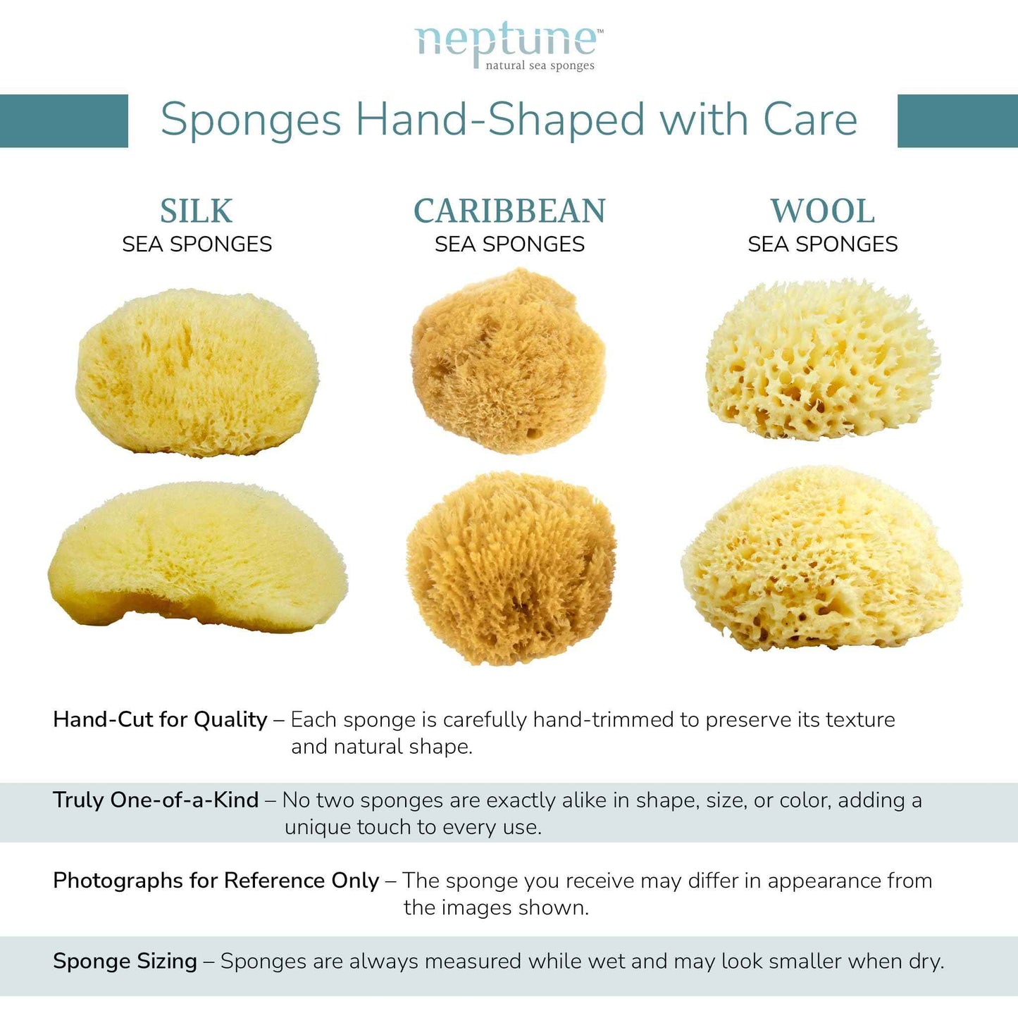 Neptune Sea Wool Sponge – Natural Mediterranean Bath Sponge, Hand-Cut, Extra-Large, Approx. 8-9", Gentle Exfoliation for Body & Skincare