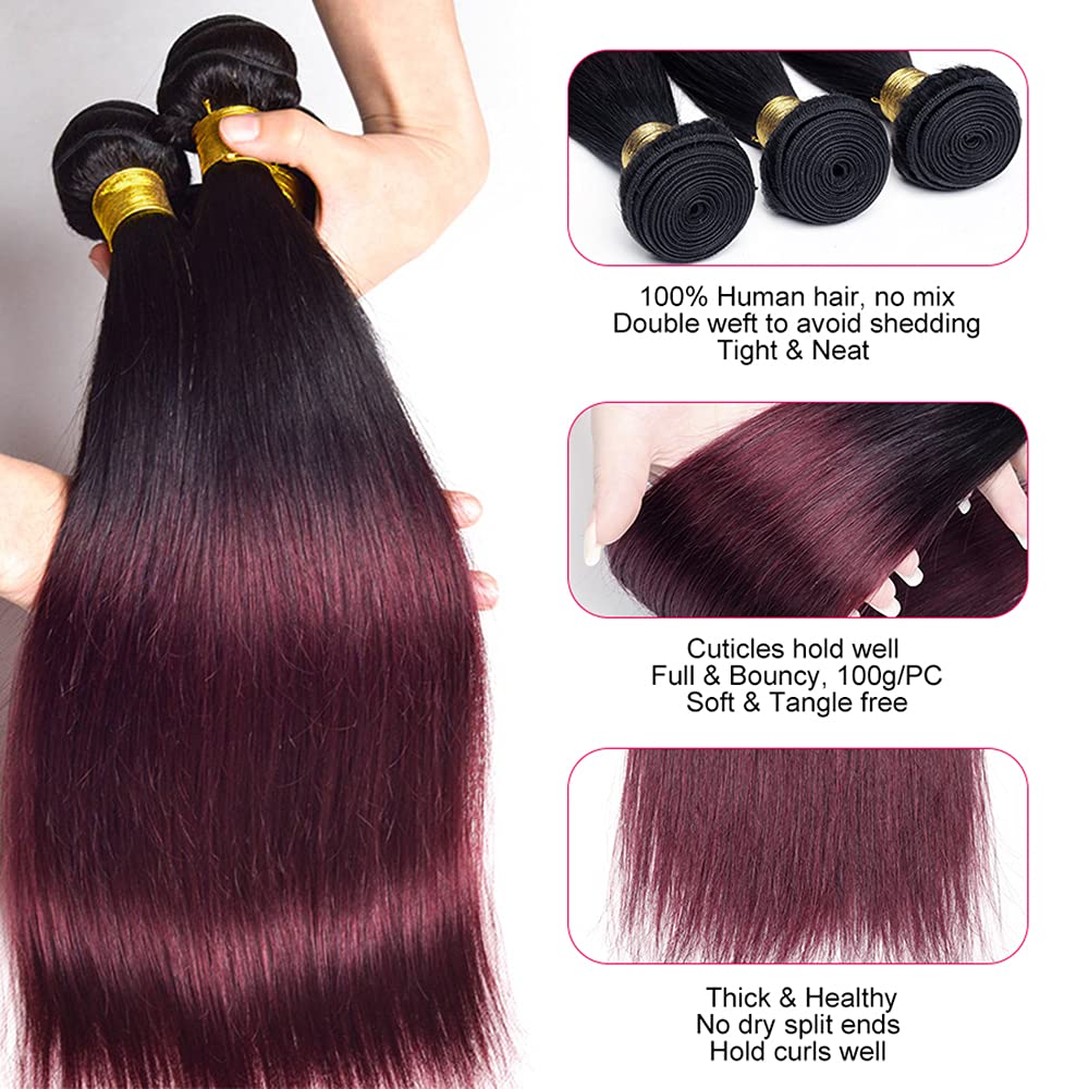 24 26 28 Inch Burgundy Human Hair Bundles Ombre 1b99j Bundles Brazilian Straight Remy Hair 3 Bundles Red Straight Bundles Human Hair Double Weft Hair Extensions for Black Women 100g/Pc