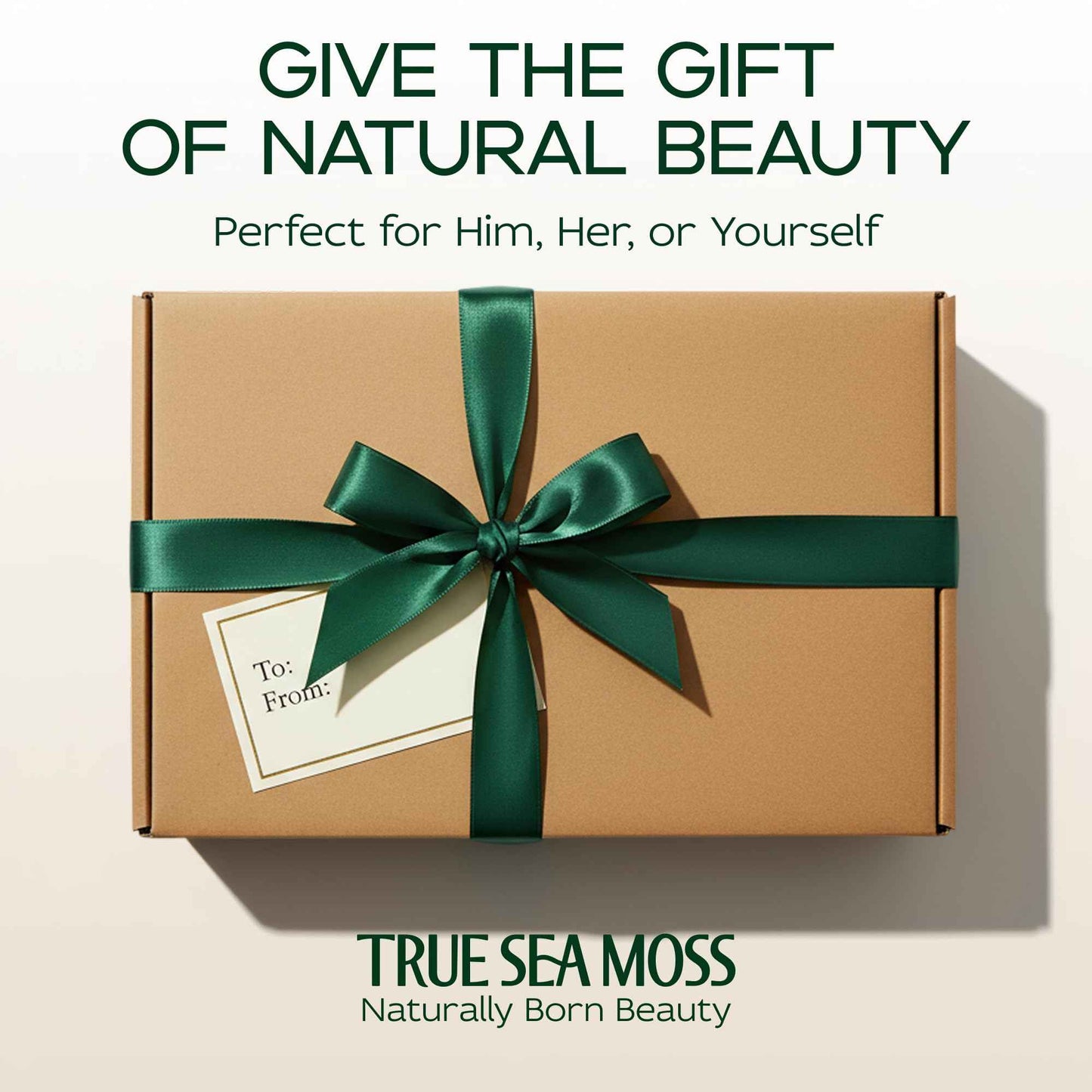 Sea Moss Soap Bar – Detoxifying Green Tea Matcha & Aloe Bergamot – All-Natural Handmade Soap for Sensitive Skin, Face & Body – Holiday Gift or Christmas Stocking Stuffer for Men & Women