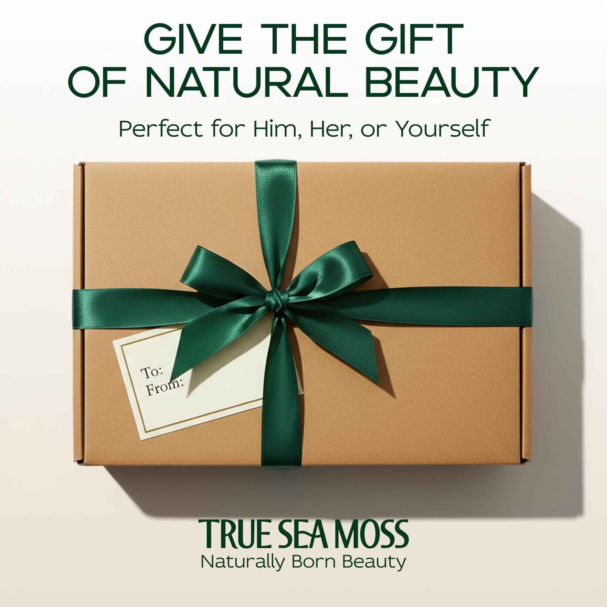 Sea Moss Soap Bar – Detoxifying Green Tea Matcha & Aloe Bergamot – All-Natural Handmade Soap for Sensitive Skin, Face & Body – Holiday Gift or Christmas Stocking Stuffer for Men & Women