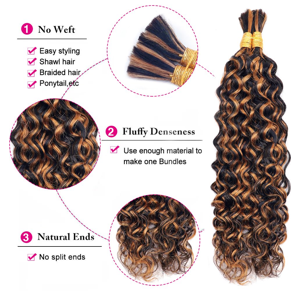 Cecycocy water Wave Bulk Human Hair Two Bundles Micro Braiding Human Hair 100g No Weft For Braiding #P1B/30 100% Unprocessed Brazilian Virgin Human Hair Extensions (16inch, P1B/30 water)