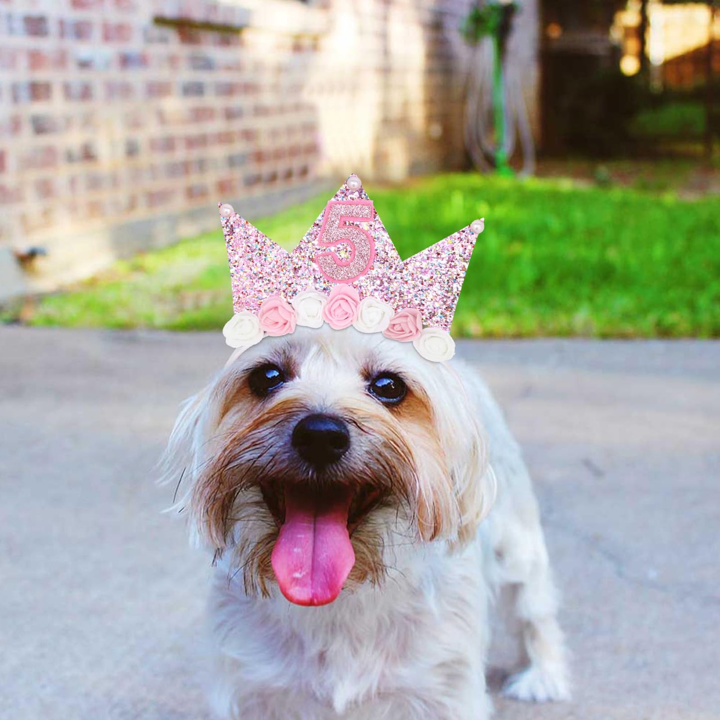 YARIEW 5th Birthday Decorations for Girls, 5th Birthday Headband and Glitter Birthday Sash Kit, Birthday Tiara Flower Princess Crown Headband It's My 5th Birthday Sash Birthday Girl Outfit