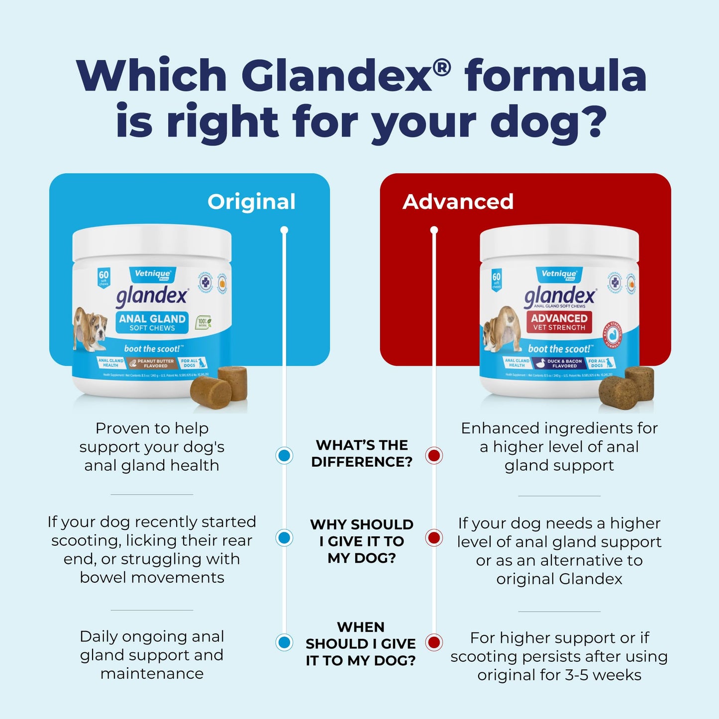 Glandex Anal Gland Soft Chew Treats with Pumpkin for Dogs Digestive Enzymes, Probiotics Fiber Supplement for Dogs Boot The Scoot (Advanced Strength Duck/Bacon Chews (Vegetarian), 120ct)