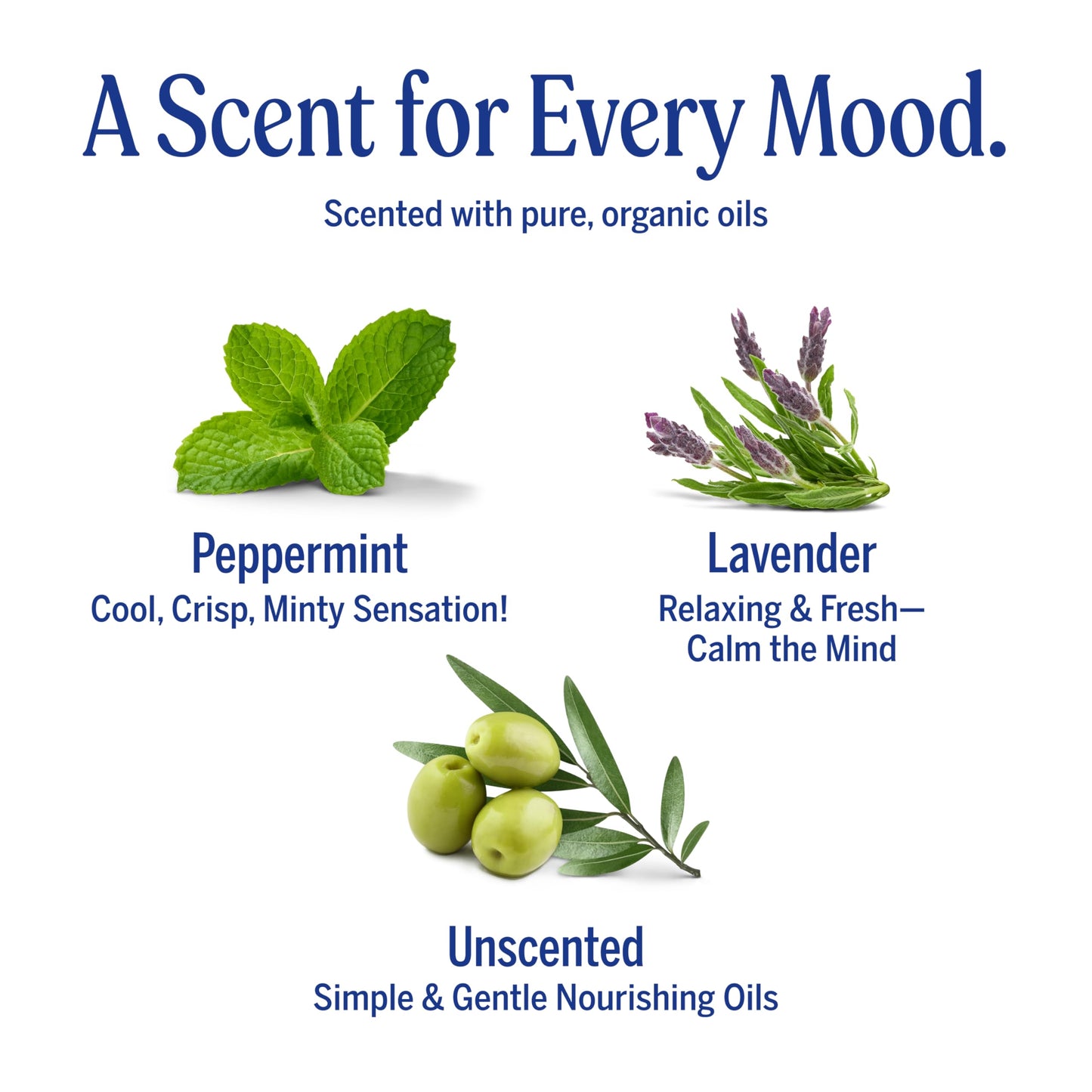 Dr. Bronner's Pure-Castile Magic Bar Soaps (5 Ounce Variety Gift Pack) Almond, Unscented, Lavender, Peppermint, Citrus, Rose - Made with Regenerative Organic Certified Oils, Vegan, Non-GMO