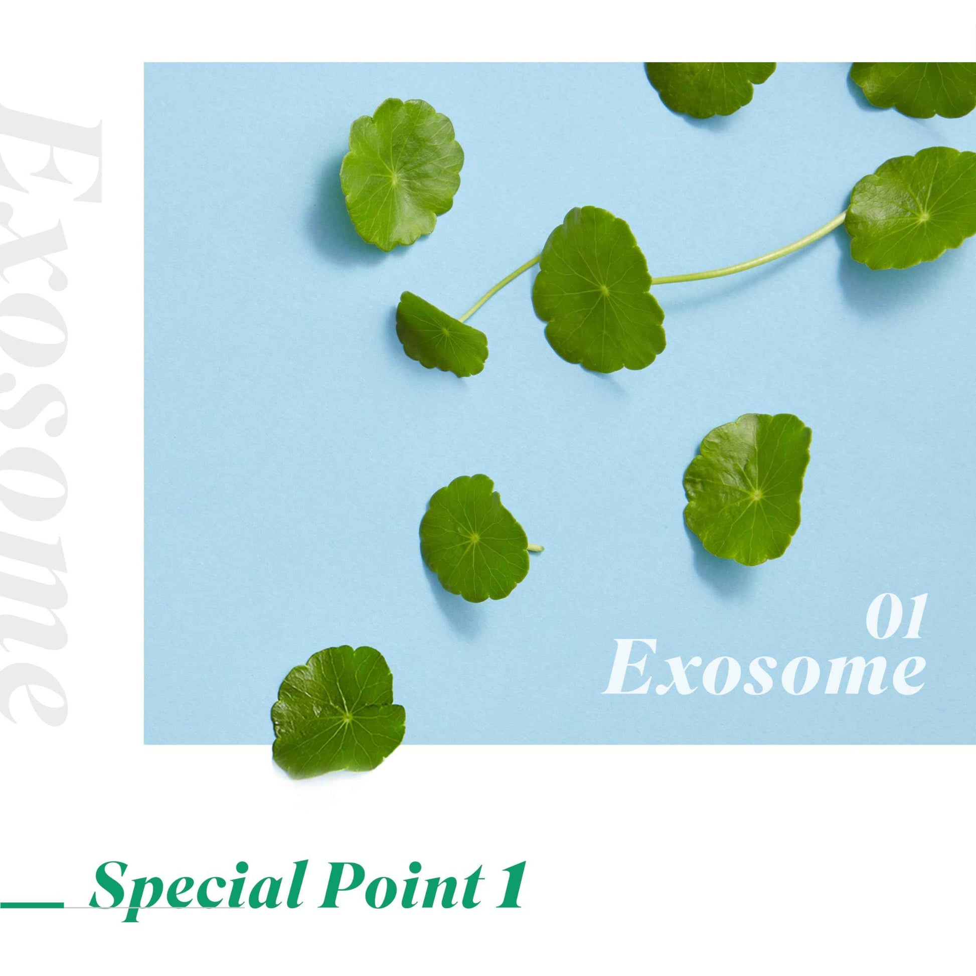 [K-Beauty] NEOGEN DERMALOGY High G Exosome Mask Sheet (39g. 5 sheets)